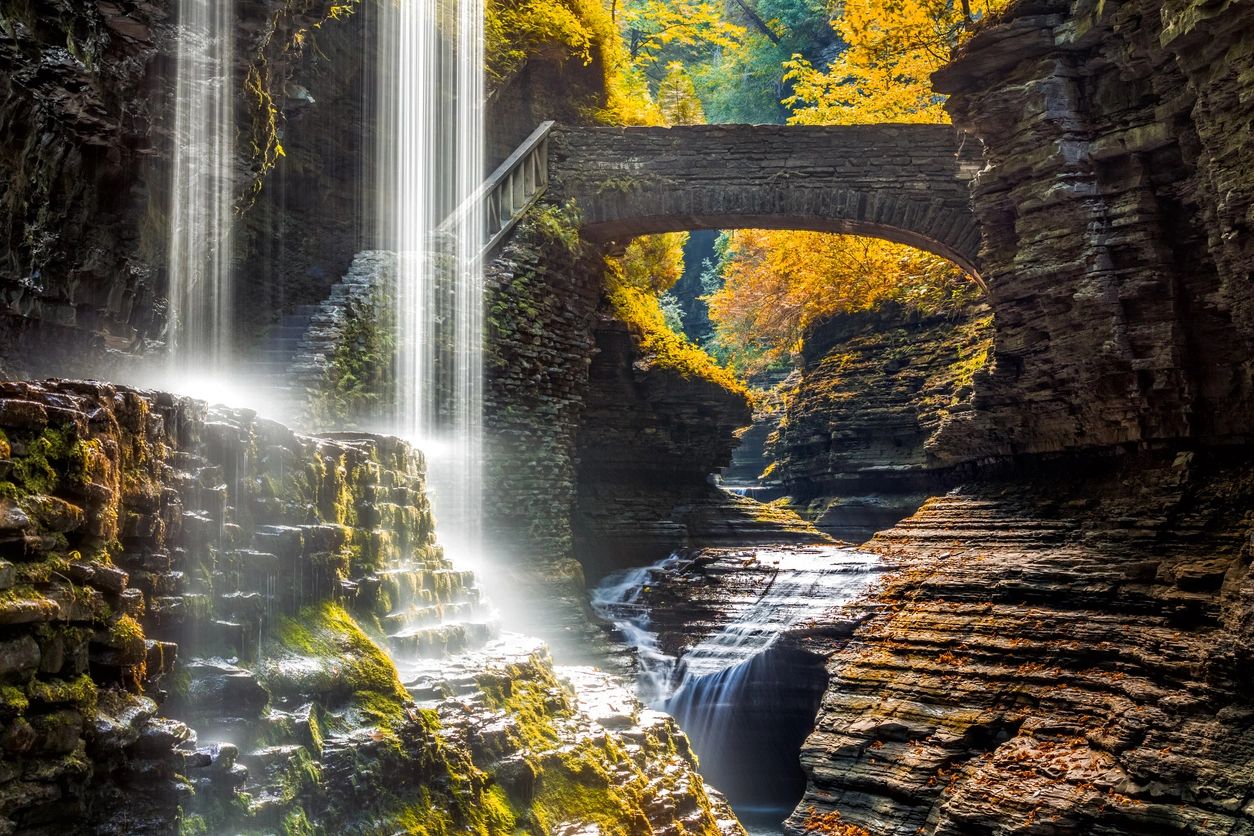 A waterfall in the middle of a forest.